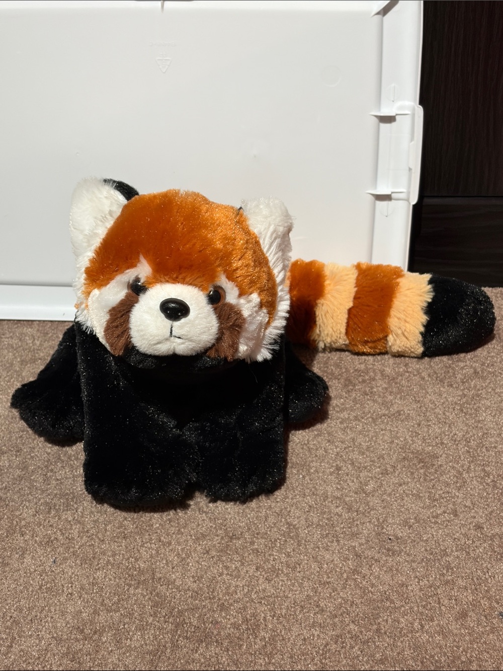 Red Panda Plush Stuffed Animal - Orange, Black, Cream